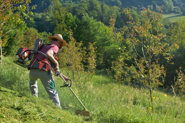 Slope Trimming Service